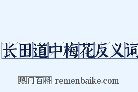 长田道中梅花反义词是什么意思的图片